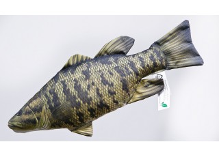 Gaby Smallmouth Bass